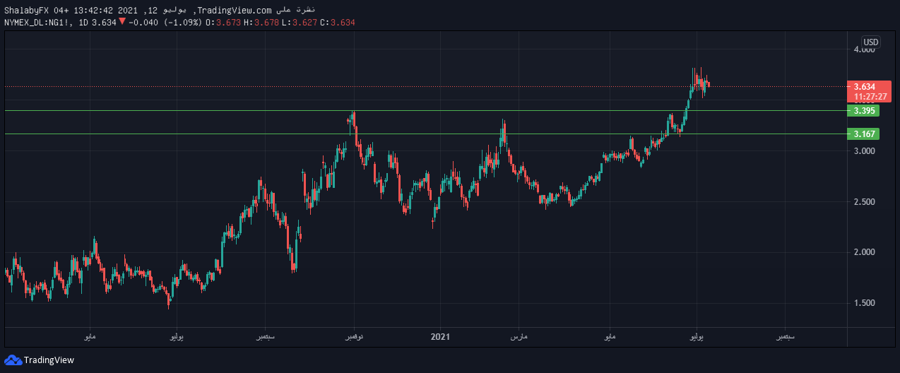 الرسم البياني اليومي للغاز الطبيعي الرسم البياني اليومي للغاز الطبيعي